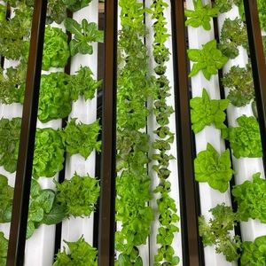 Meet your Posher, Tonya